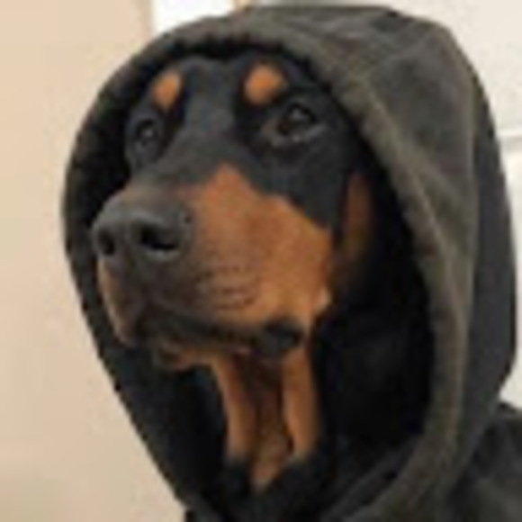 Meet your Posher, Thiago - Picture 1 of 1